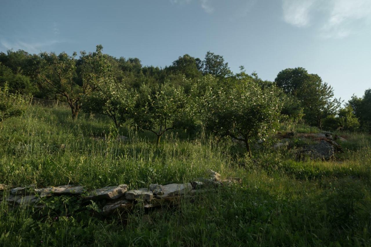 Apartmán Brioni Virpazar Exteriér fotografie